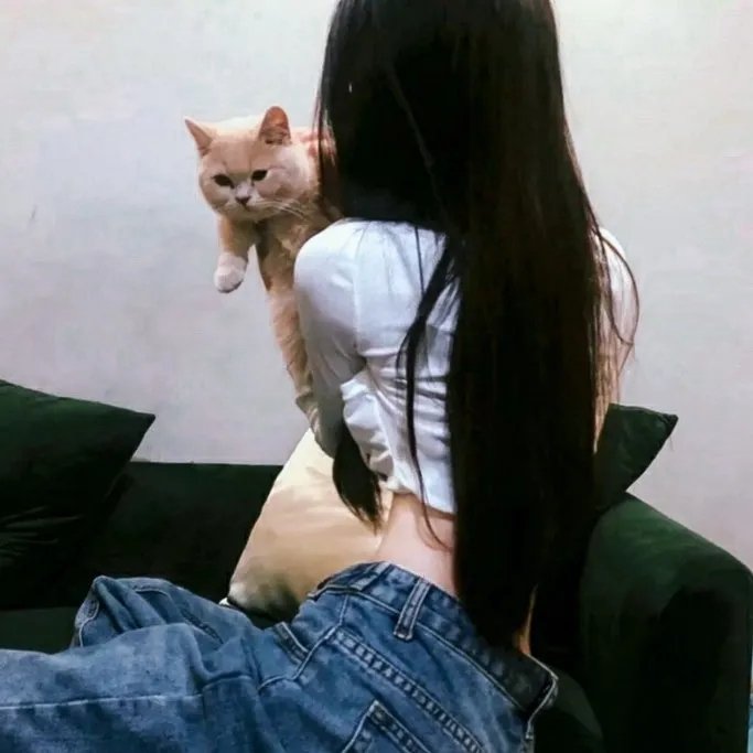 阿凡隆高中